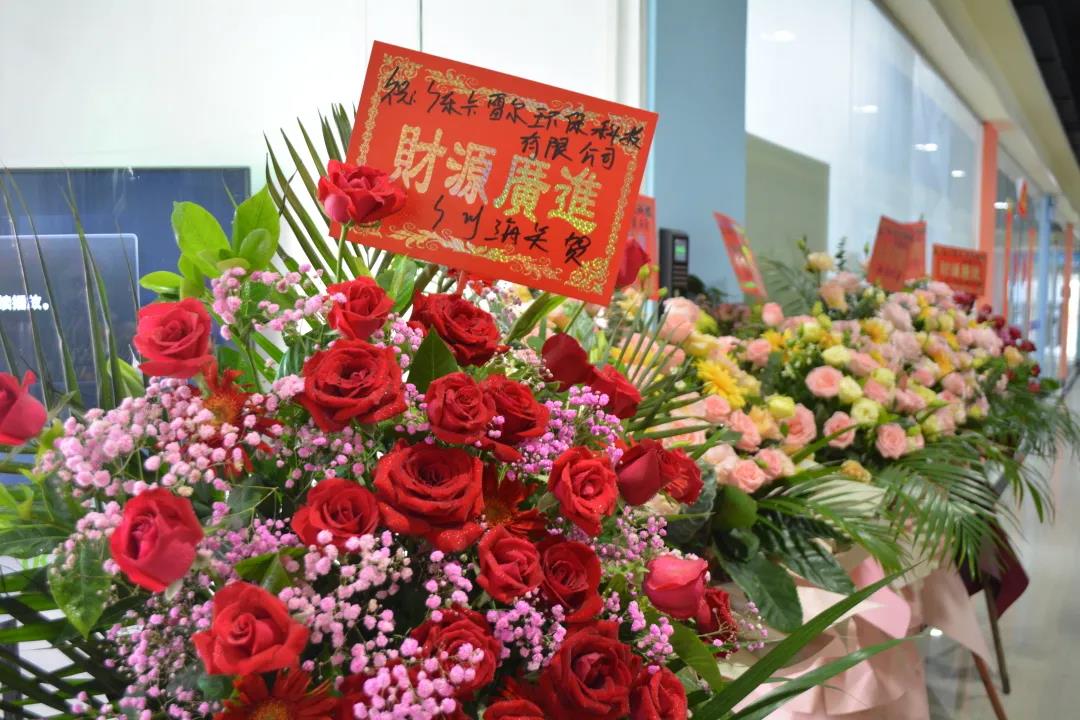 跑出世界速度,环保纸模先行者卡雷尔落地南沙